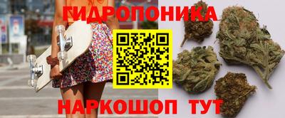 гидропоника Канаш