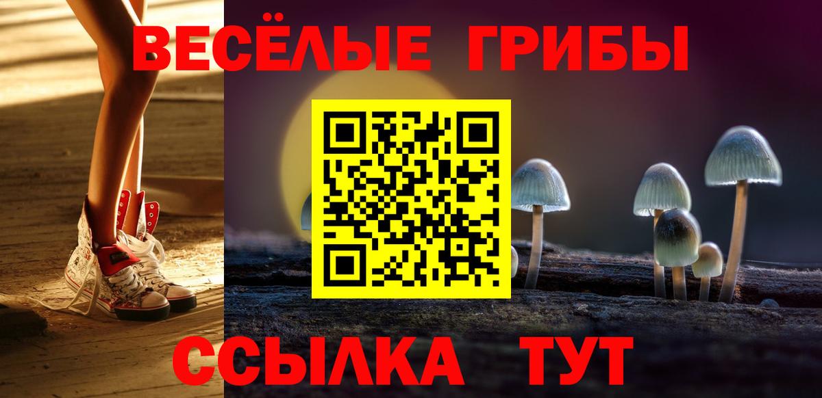 Псилоцибиновые грибы GOLDEN TEACHER  где купить наркоту  Псилоцибиновые грибы Psilocybine cubensis  Красный Сулин  Вход с VPN 